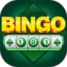 Bingo 101